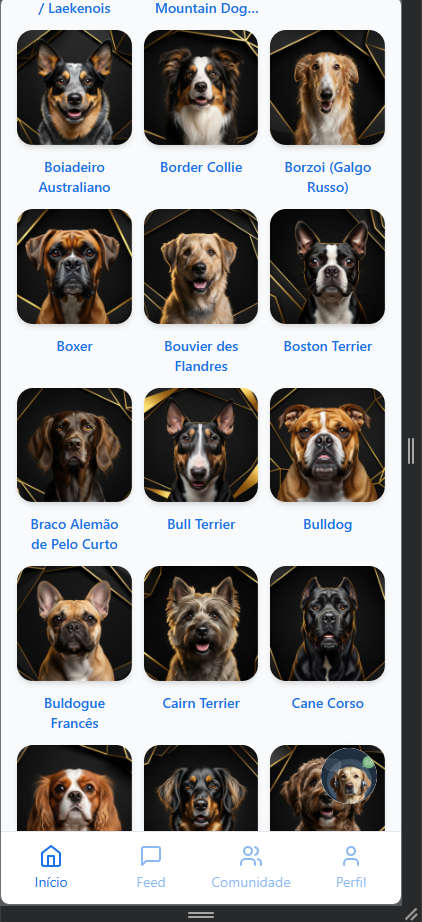 Aula de adestramento